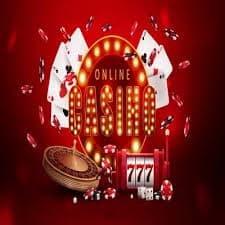 wg6 bet