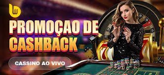 wg6 bet